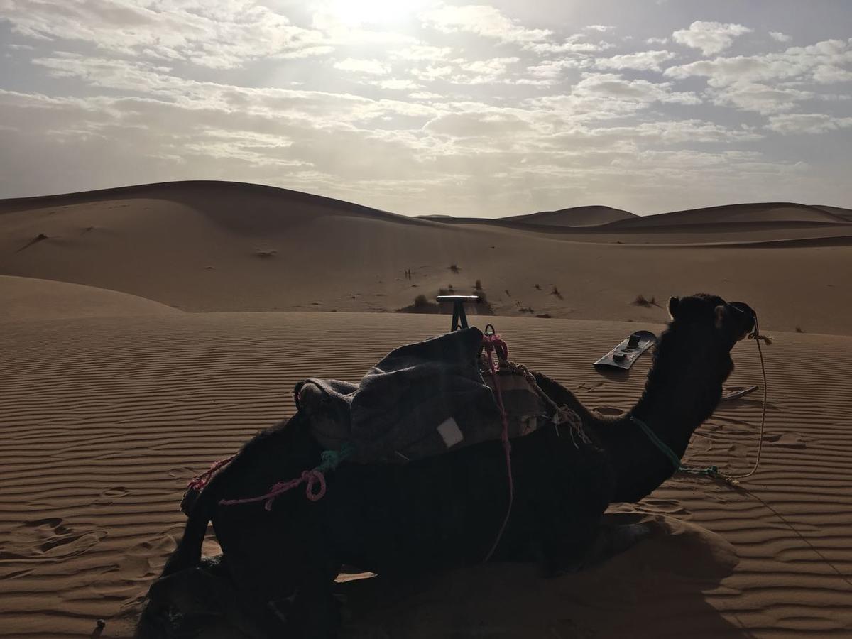 Camp Desert Stars 姆哈米德 外观 照片