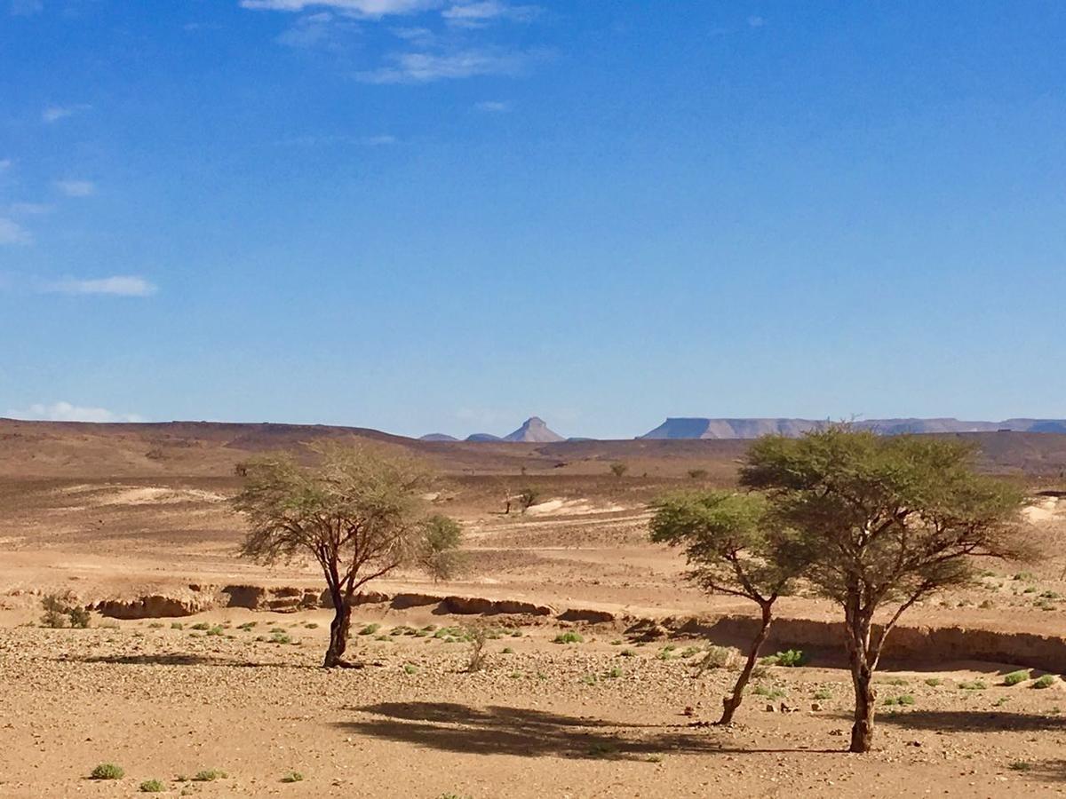 Camp Desert Stars 姆哈米德 外观 照片